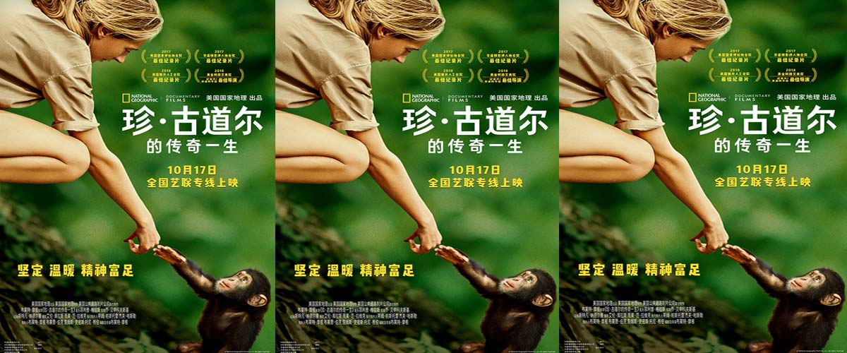 国家地理优质纪录片佳作《珍·古道尔的传奇一生》定档10月17日