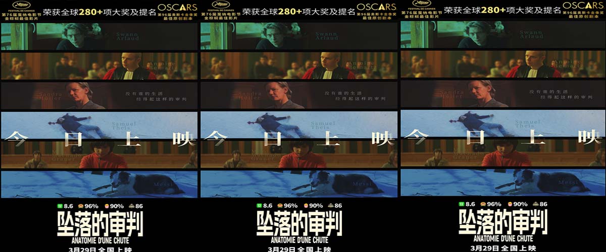 电影《坠落的审判》今日上映 影后桑德拉·惠勒全中文问好尽显诚意